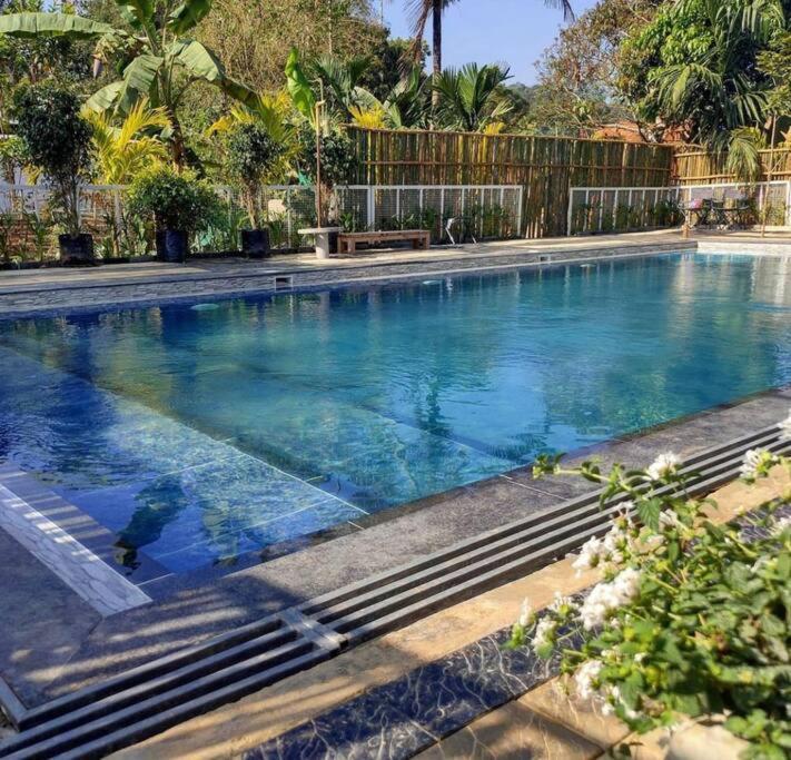 הוילה Ibiza Wonderland , Meppadi Wayanad מראה חיצוני תמונה